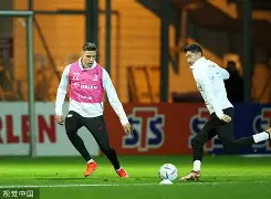 波兰队力克对手,成功跻身卡塔尔世界杯的简单介绍 波兰队力克对手,成功跻身卡塔尔世界杯的简单介绍